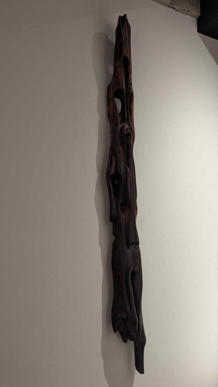 Détail des cavités buccales et anatomies troublées